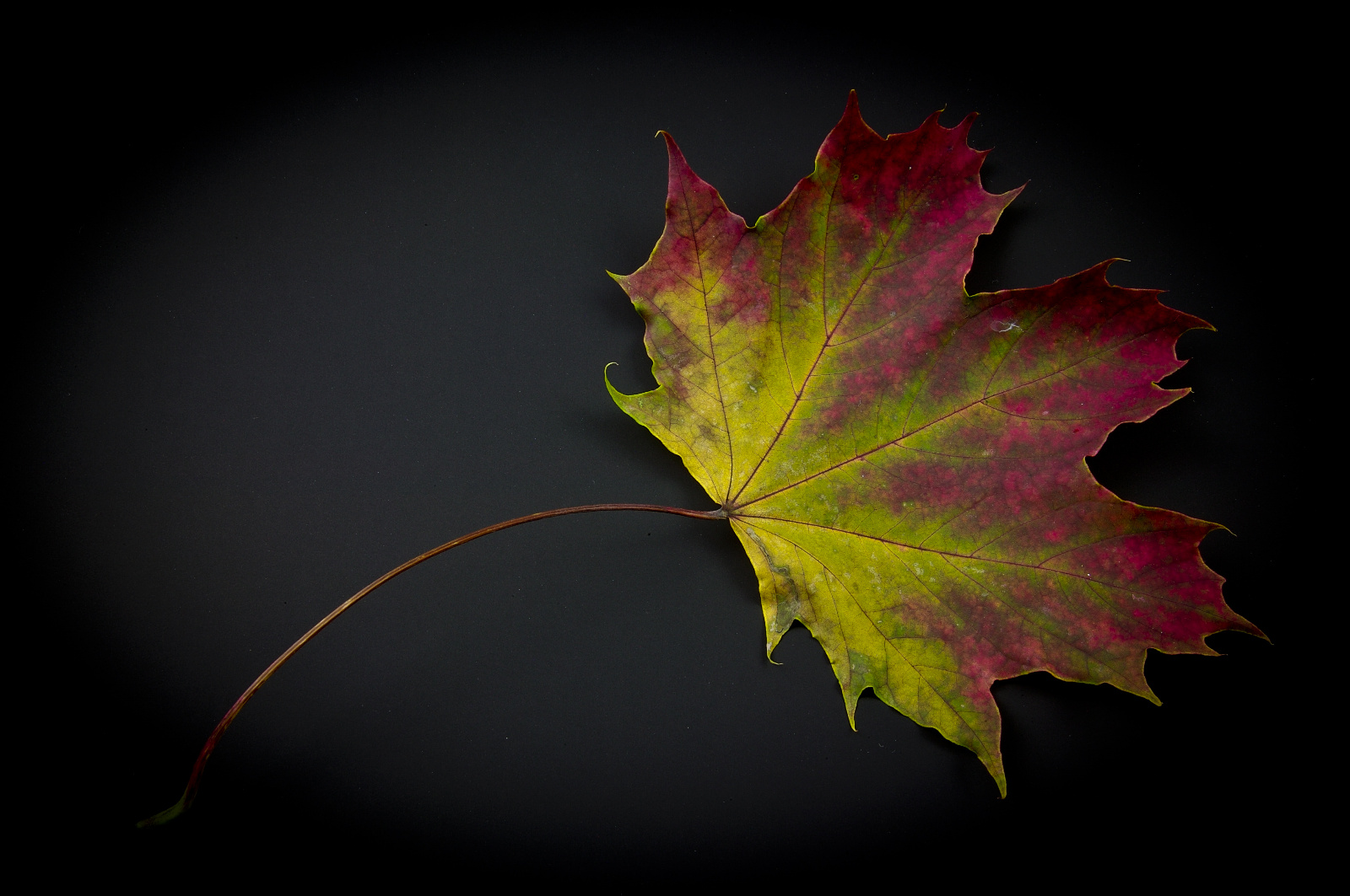 20DU5340 (15 von 74)